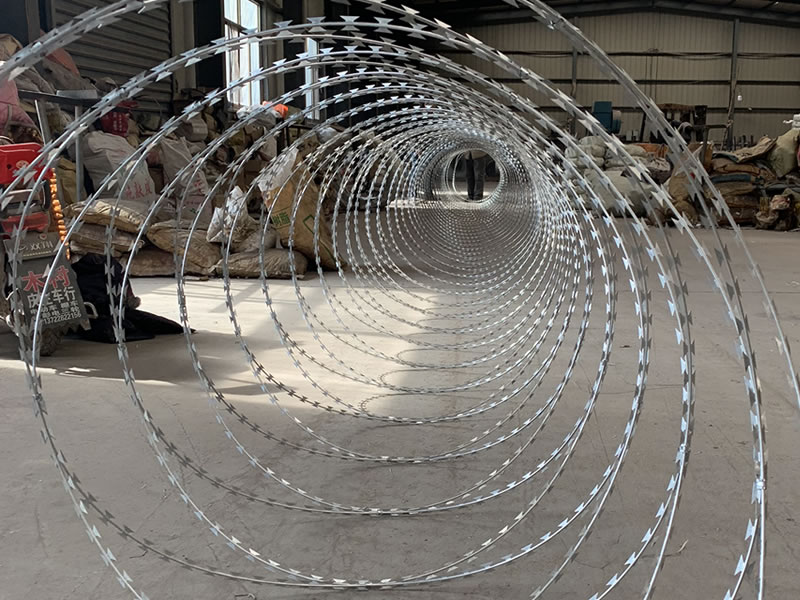 Concertina Wire