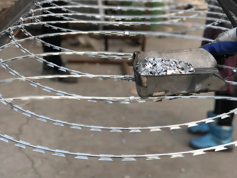 Flat Wrap Razor Wire in Processing Journey