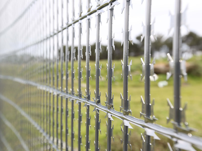 Straight Line Welded Razor Wire Mesh Fence